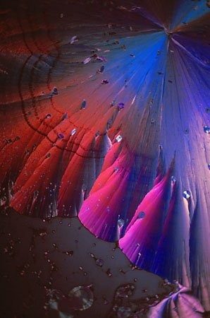 Micrograph of fine magenta and blue needles radiating from a point above a reddish ground marked with faint concentric rings.