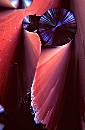 Micrograph of folded crimson crystal sheets with a pleated dark blue fan opening at the top of the frame.