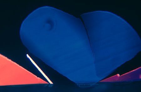 Micrograph of two smooth blue lobes meeting at the centre of the frame above a red ground, with a fine white needle crossing beneath them.