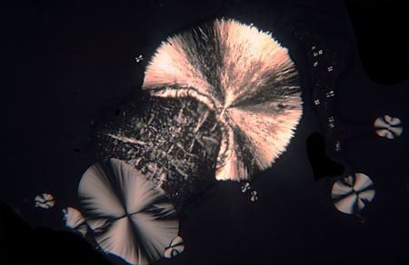 Micrograph of a large cream rosette with a dark radial cross, accompanied by two small pinwheel forms on a near-black field.