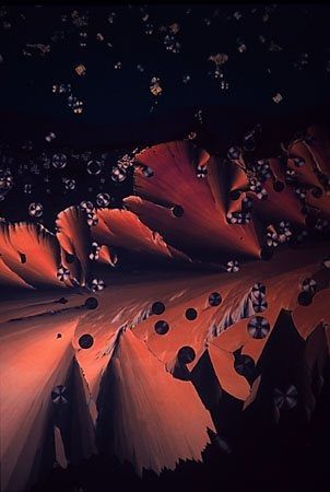 Micrograph of salmon and orange crystal wedges advancing across a dark field scattered with round bubbles.