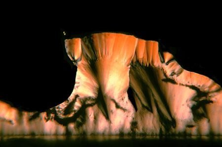 Micrograph of a massive amber crystal band with dark drapery hanging beneath it against a black upper field.