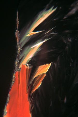 Micrograph of dark feathery plumes with orange and green blades cutting through them, and a red-orange column at lower left.
