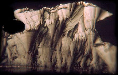 Micrograph of a jagged cream-white crystal band with dark vertical streaks descending below it.
