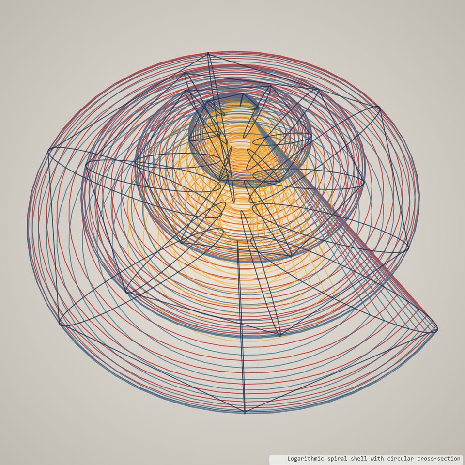 Logarithmic-spiral surface rendered as a ribbed shell form.